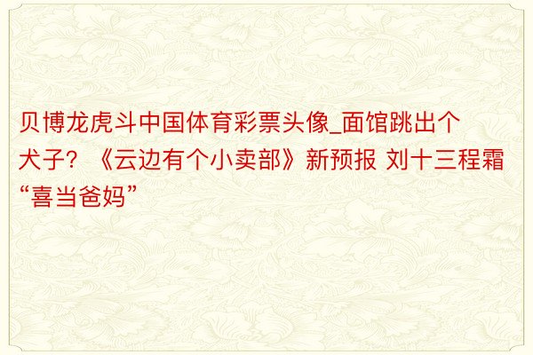 贝博龙虎斗中国体育彩票头像_面馆跳出个犬子？《云边有个小卖部》新预报 刘十三程霜“喜当爸妈”