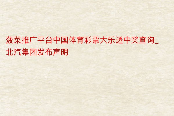 菠菜推广平台中国体育彩票大乐透中奖查询_北汽集团发布声明