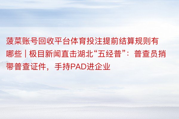 菠菜账号回收平台体育投注提前结算规则有哪些 | 极目新闻直击湖北“五经普”：普查员捎带普查证件，手持PAD进企业